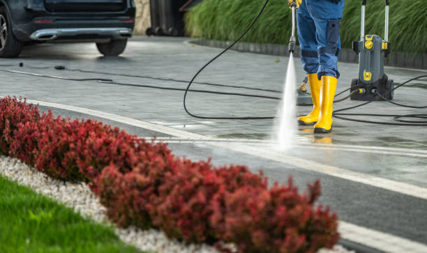 Best Roof Washing  in Freer, TX